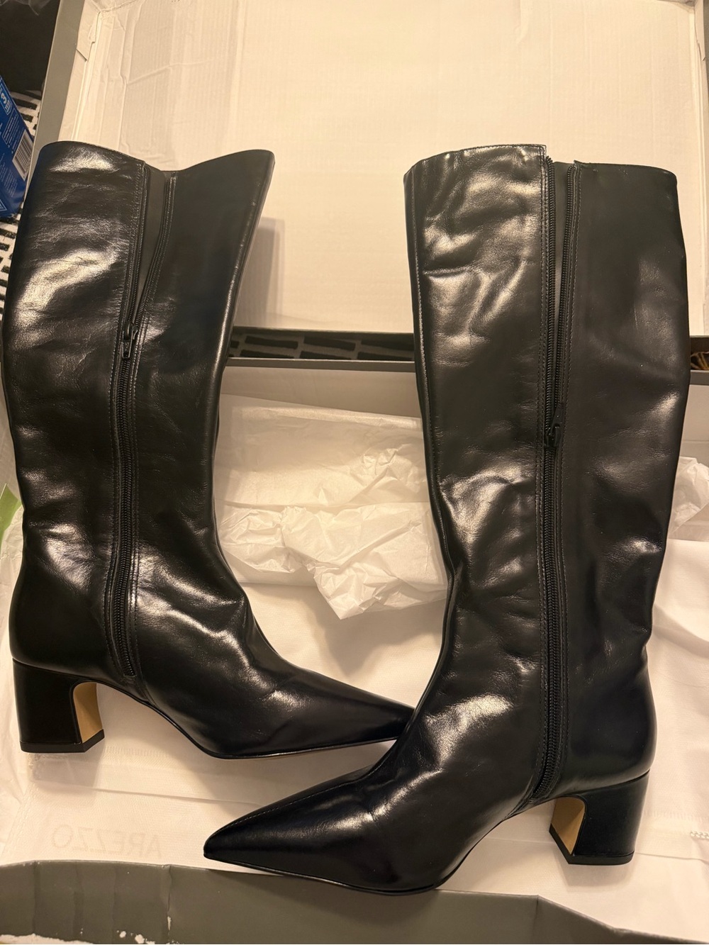 Arezzo Sleek Black Over-the-Knee Pointed Block Heel Boots